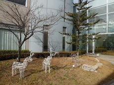 j2015.12.19 3.jpg